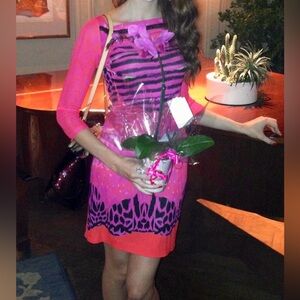 Roberto Cavalli Silk Vintage dress